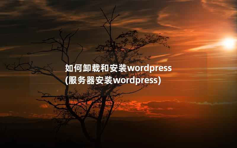 如何卸载和安装WordPress，服务器安装WordPress