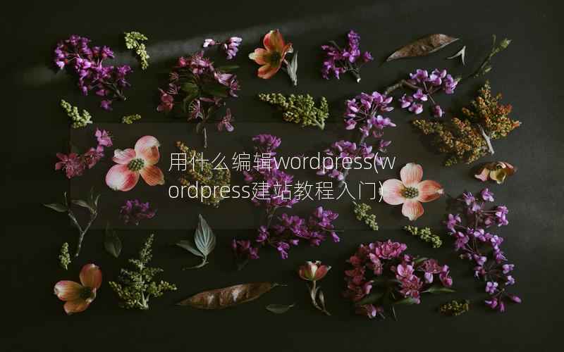 用什么编辑WordPress，WordPress建站教程入门