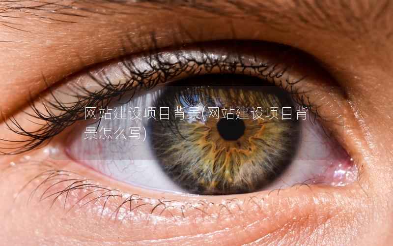 网站建设项目背景，网站建设项目背景怎么写