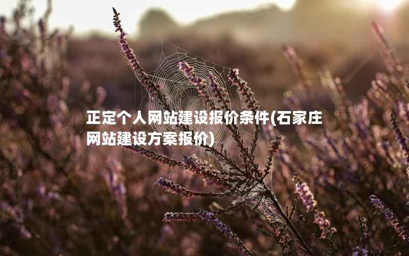 正定个人网站建设报价条件，石家庄网站建设方案报价
