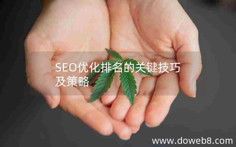 SEO优化排名的关键技巧及策略,关键客户的管理策略