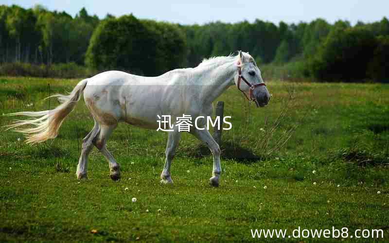 迅睿CMS 迅睿CMS
