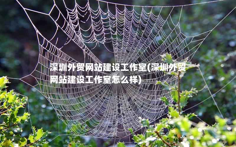 深圳外贸网站建设工作室，深圳外贸网站建设工作室怎么样