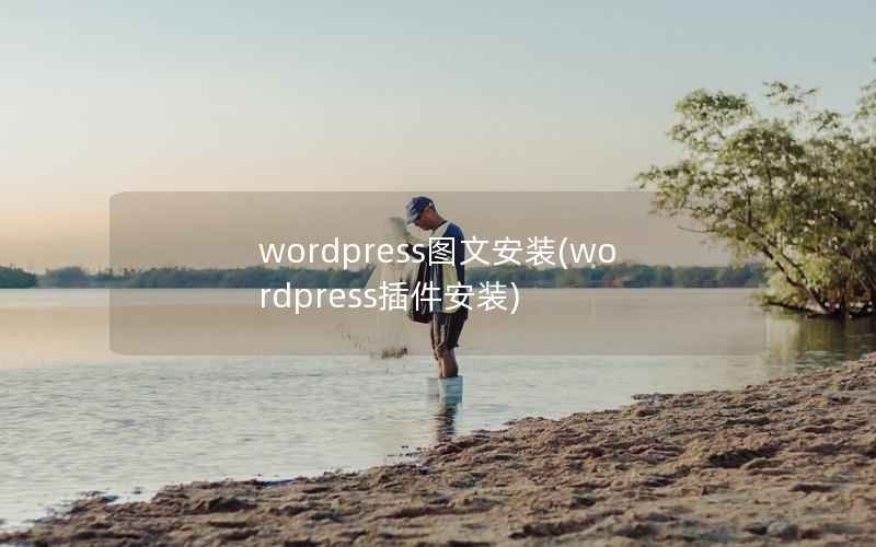 WordPress图文安装，WordPress插件安装