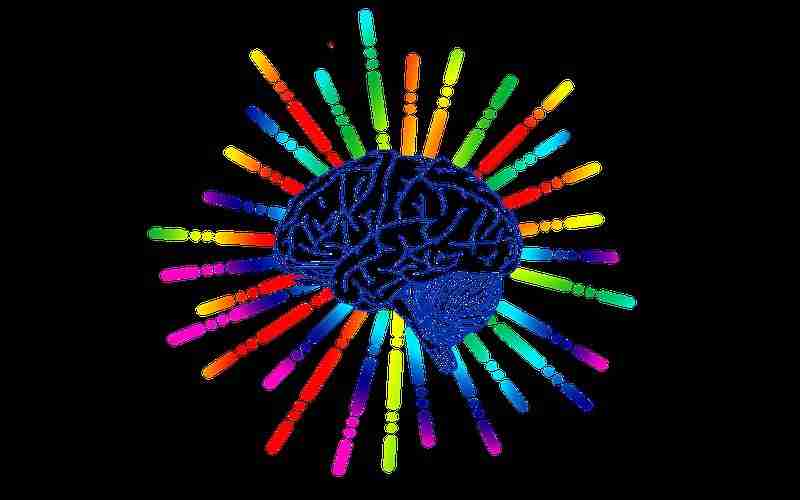 如何选择地域关键词以吸引本地流量