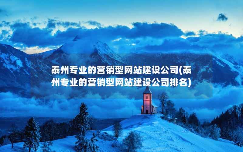 泰州专业的营销型网站建设公司，泰州专业的营销型网站建设公司排名