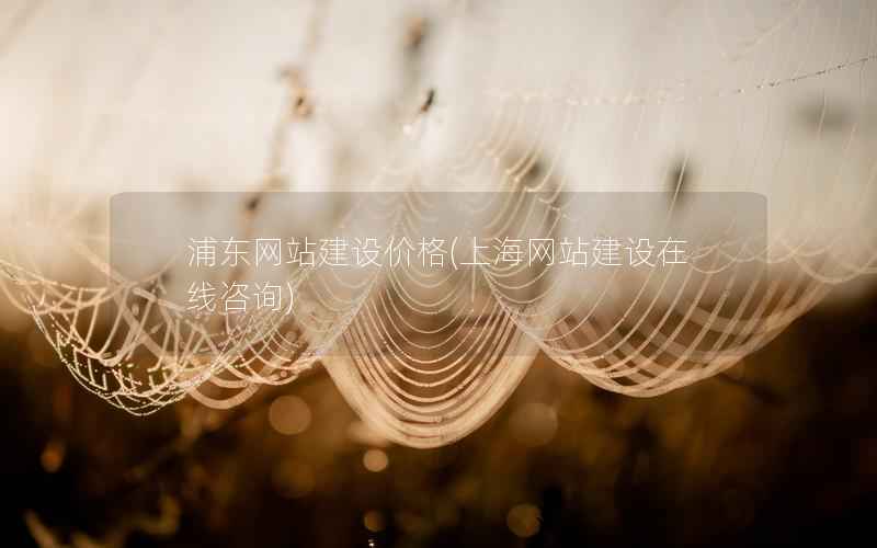 浦东网站建设价格，上海网站建设在线咨询