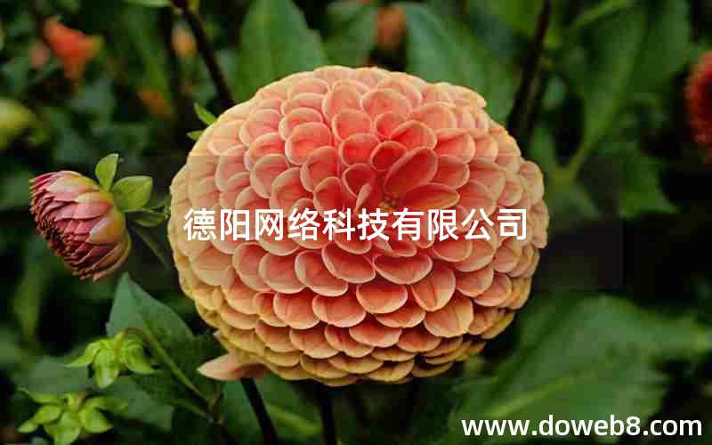 德阳网络科技有限公司