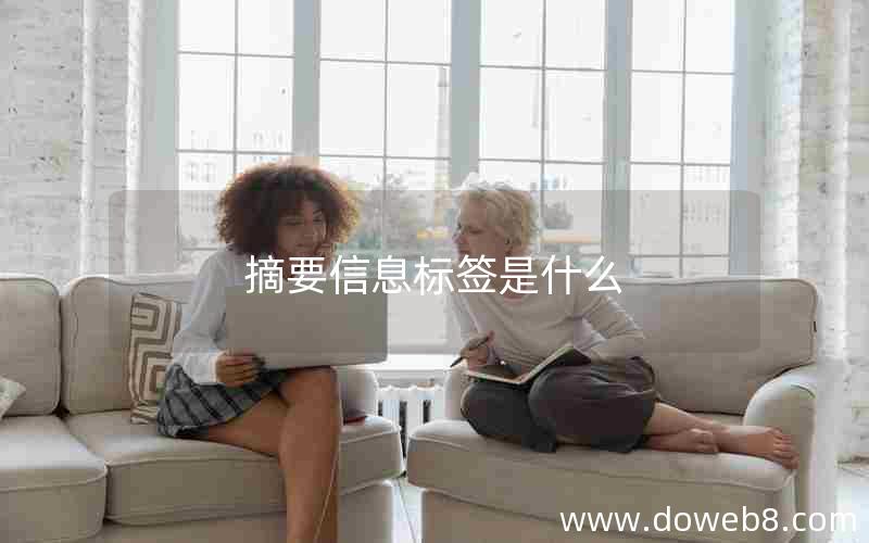 摘要信息标签是什么 摘要信息标签是什么