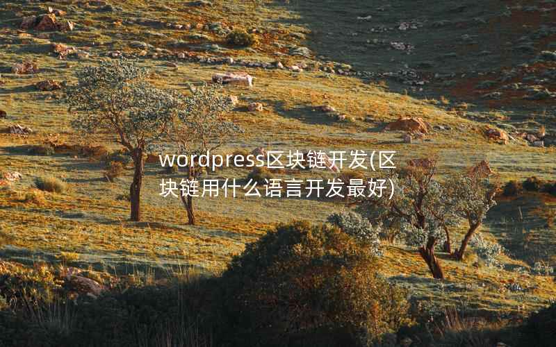 WordPress区块链开发，区块链用什么语言开发最好