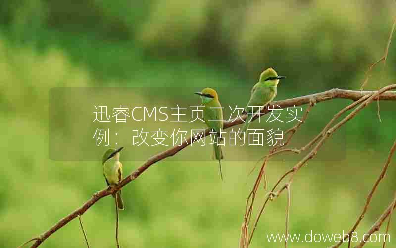 迅睿cms主页二次开发实例：改变你网站的面貌