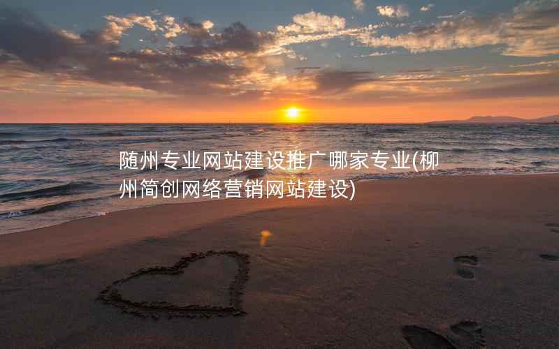 随州专业网站建设推广哪家专业，柳州简创网络营销网站建设