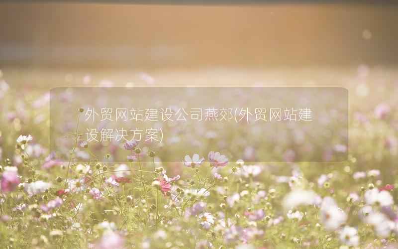 外贸网站建设公司燕郊，外贸网站建设解决方案