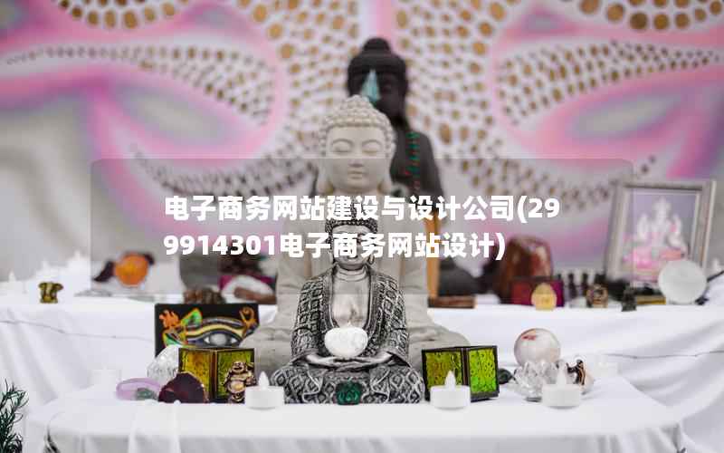 电子商务网站建设与设计公司，299914301电子商务网站设计