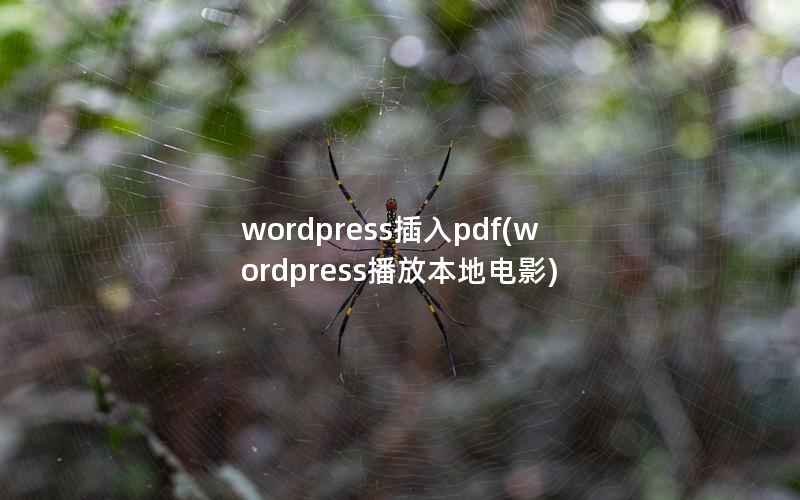 WordPress插入pdf，WordPress播放本地电影