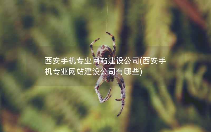 西安手机专业网站建设公司，西安手机专业网站建设公司有哪些
