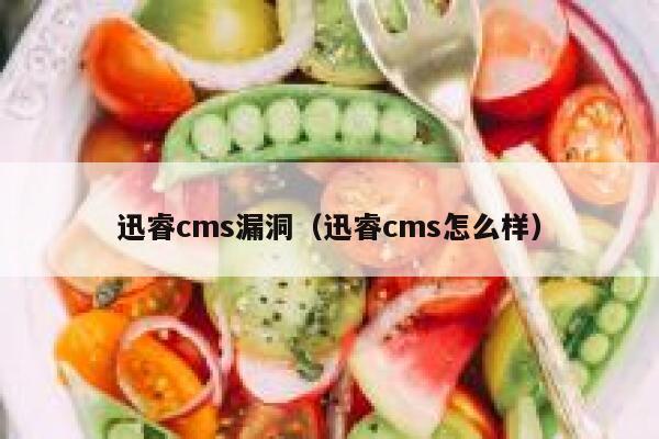 迅睿cms漏洞，迅睿cms怎么样