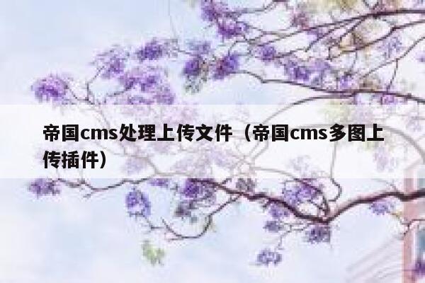 帝国cms处理上传文件，帝国cms多图上传插件