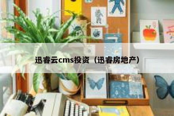 迅睿云cms投资，迅睿房地产