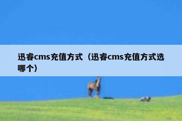 迅睿cms充值方式，迅睿cms充值方式选哪个