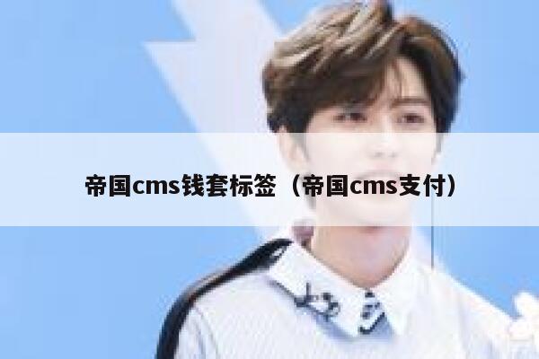 帝国CMS钱套标签，帝国CMS支付