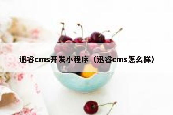 xunruicms开发小程序，xunruicms怎么样
