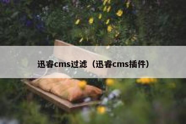 迅睿cms过滤，迅睿cms插件