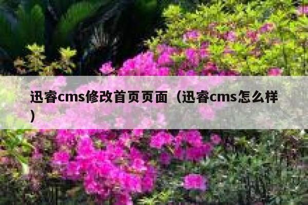 xunruicms修改首页页面，xunruicms怎么样