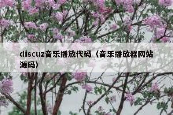 Discuz音乐播放代码，音乐播放器网站源码