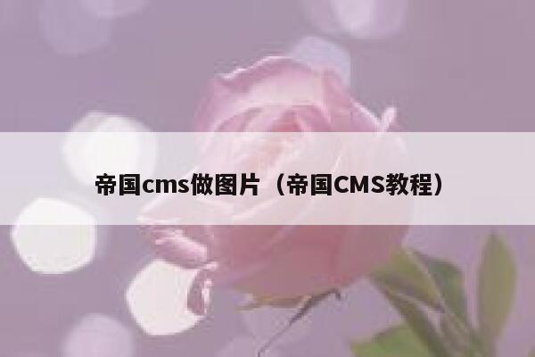 帝国cms做图片，帝国CMS教程