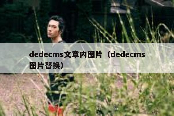 织梦dedecms文章内图片，织梦dedecms图片替换