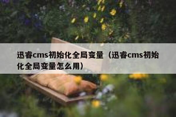 xunruicms初始化全局变量，xunruicms初始化全局变量怎么用