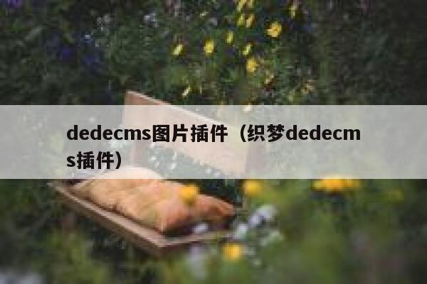 织梦dedecms图片插件，织梦织梦dedecms插件