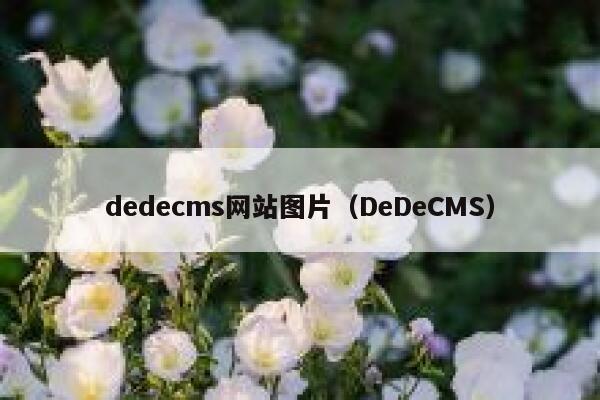dedecms网站图片,DeDeCMS dedecms网站图片,DeDeCMS