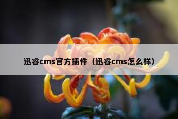 迅睿cms官方插件，迅睿cms怎么样