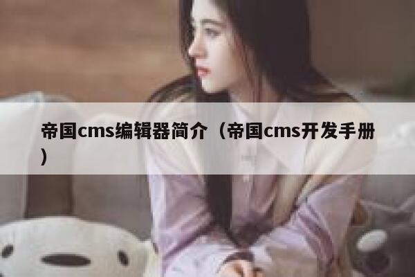 帝国CMS编辑器简介，帝国CMS开发手册