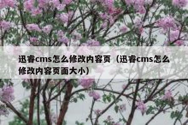 xunruicms怎么修改内容页，xunruicms怎么修改内容页面大小