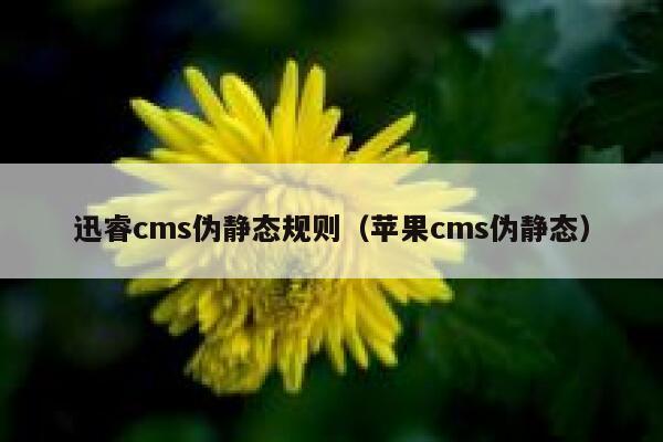 xunruicms伪静态规则，苹果CMS伪静态