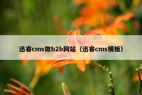迅睿cms做b2b网站，迅睿cms模板
