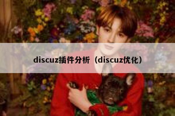 Discuz插件分析，Discuz优化