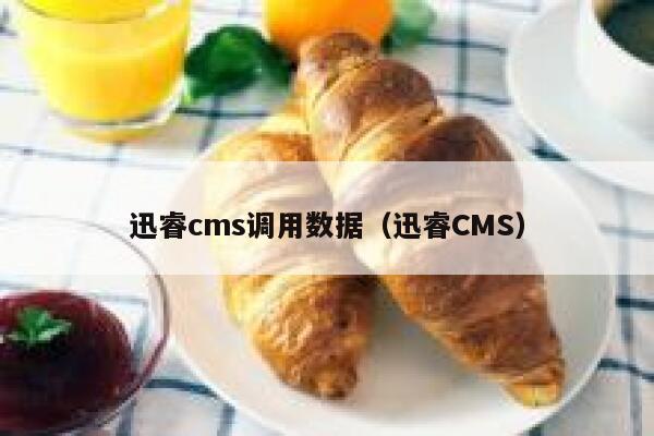 迅睿cms调用数据，迅睿CMS