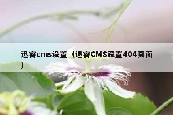 xunruicms设置，迅睿cms设置404页面