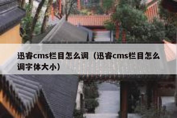 迅睿cms栏目怎么调，迅睿cms栏目怎么调字体大小