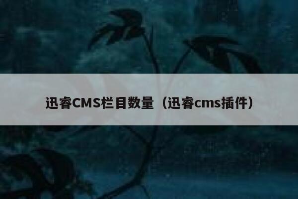 迅睿cms栏目数量，xunruicms插件