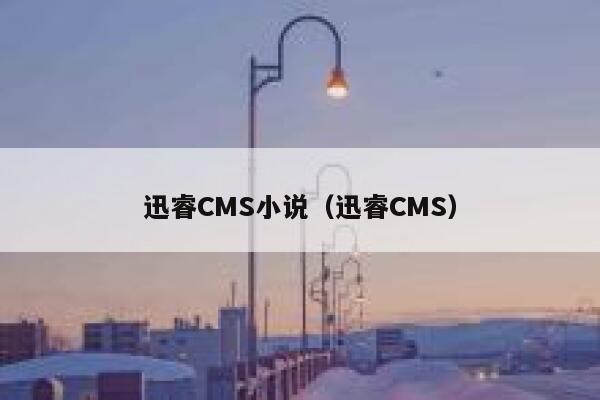 迅睿cms小说，迅睿cms