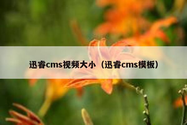 xunruicms视频大小，xunruicms模板