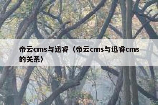 帝云cms与迅睿,帝云cms与迅睿cms的关系 帝云cms与迅睿,帝云cms与迅睿cms的关系