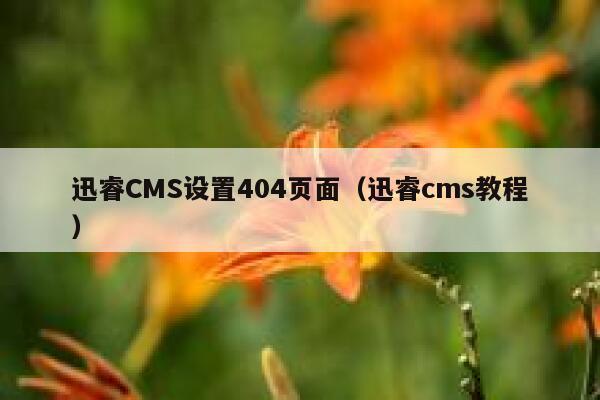 迅睿cms设置404页面，xunruicms教程