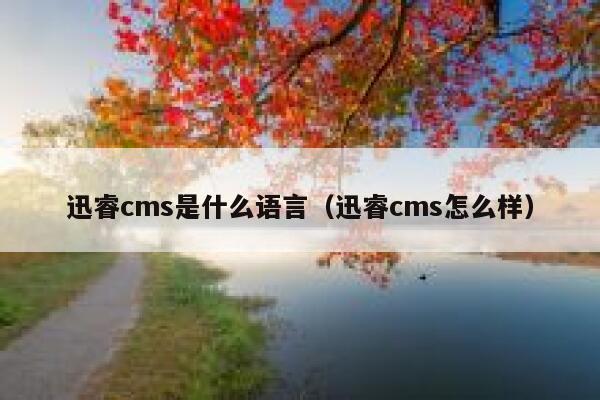 迅睿cms是什么语言，迅睿cms怎么样