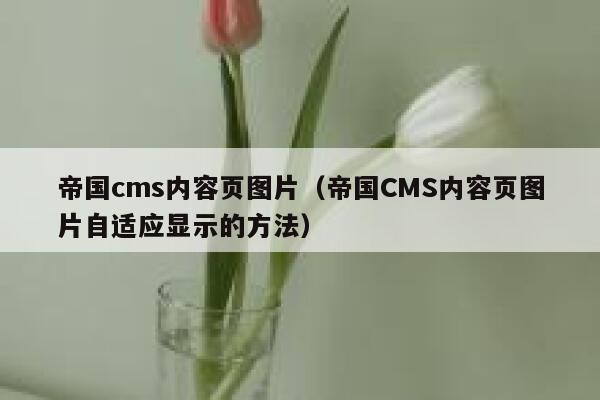 帝国cms内容页图片,帝国CMS内容页图片自适应显示的方法 帝国cms内容页图片,帝国CMS内容页图片自适应显示的方法